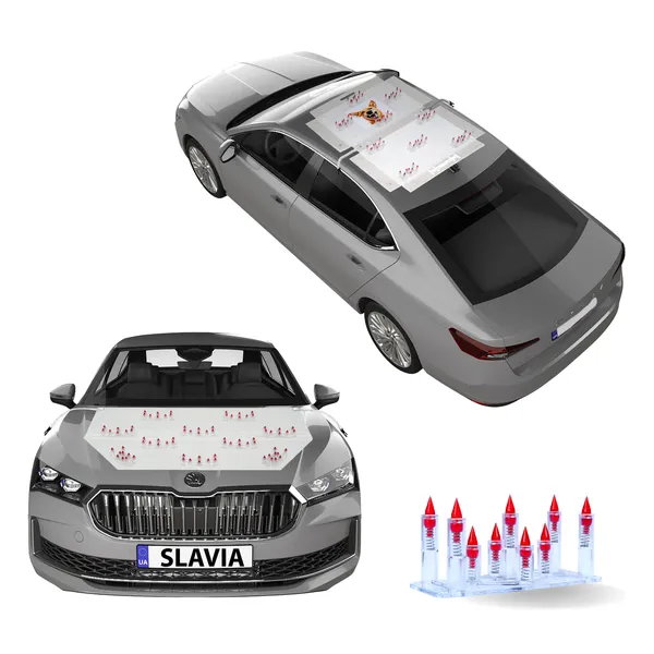 SKODA_SLAVIA_Red_Car_Protection_Spikes_|_Smart,_Safe_&_Humane_way_to_Deter_Animals_|_Roof_&_Bonnet_Protection_from_Dogs_&_Monkeys_|_Magnetic_Holding_&_Box_Closure_|_Anti-Theft_&_Scratch_Protection_|_Foldable_In-Built_Plastic_Box