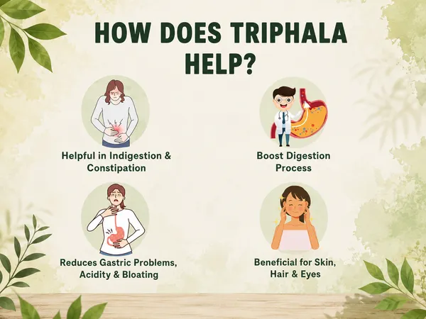 EKDO_Organic_Triphala_Powder_|_100%_Pure_&_Natural_Ayurvedic_Herbal_Powder_|_Amla_Haritaki_Bibhitaki_Blend_(PACK_OF_3X100G)