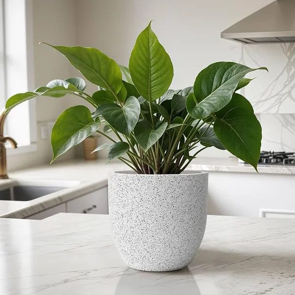 Frost_White_Polymer_Plastic_Planter_For_Home_Decor,Plantation_And_Decorative_Item