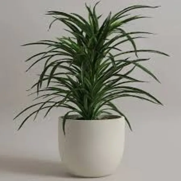 Frost_White_Polymer_Plastic_Planter_For_Home_Decor,Plantation_And_Decorative_Item