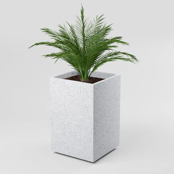 White__Polymer_Plastic_Planter_For_Home_Decor,Plantation_And_Decorative_Item