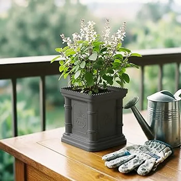 White_Polymer_Plastic_Planter_For_Home_Decor,Plantation_And_Decorative_Item