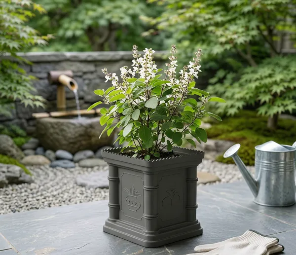 White_Polymer_Plastic_Planter_For_Home_Decor,Plantation_And_Decorative_Item