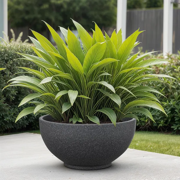 Grey_Polymer_Plastic_Planter_For_Home_Decor,Plantation_And_Decorative_Item