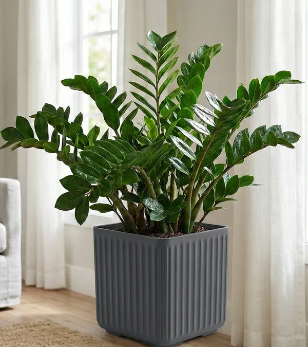 Green__Natural_Planter_For_Home_Decor,Plantation_And_Decorative_Item