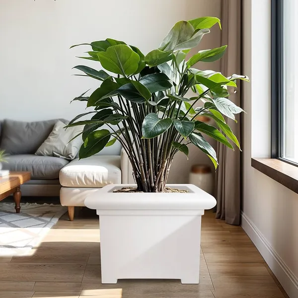 White_Polymer_Plastic_Planter_For_Home_Decor,Plantation_And_Decorative_Item