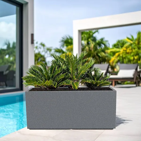Black_Polymer_Plastic_Planter_For_Home_Decor,Plantation_And_Decorative_Item