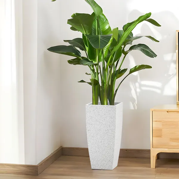 White_Polymer_Plastic_Planter_For_Home_Decor,Plantation_And_Decorative_Item