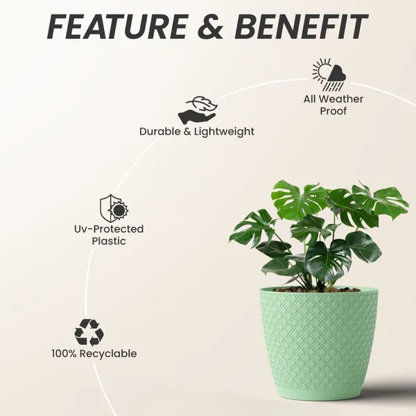 Green_Uv-Protected_Plastic_Planter_For_Home_Decor,Plantation_And_Decorative_Item