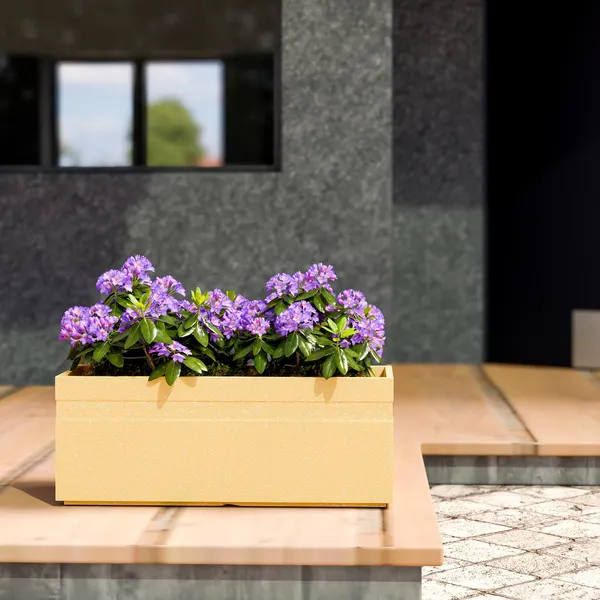 White_Polymer_Plastic_Planter_For_Home_Decor,Plantation_And_Decorative_Item