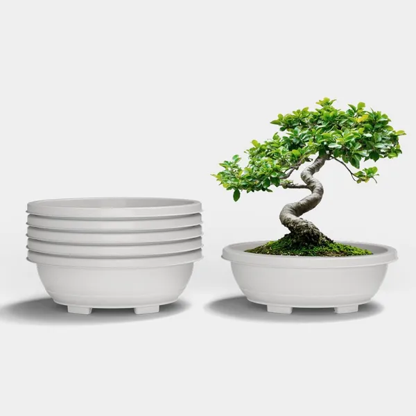 White_Uv-Protected_Plastic_Planter_For_Home_Decor,Plantation_And_Decorative_Item
