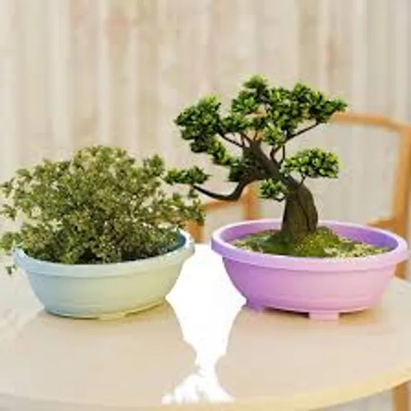 White_Uv-Protected_Plastic_Planter_For_Home_Decor,Plantation_And_Decorative_Item