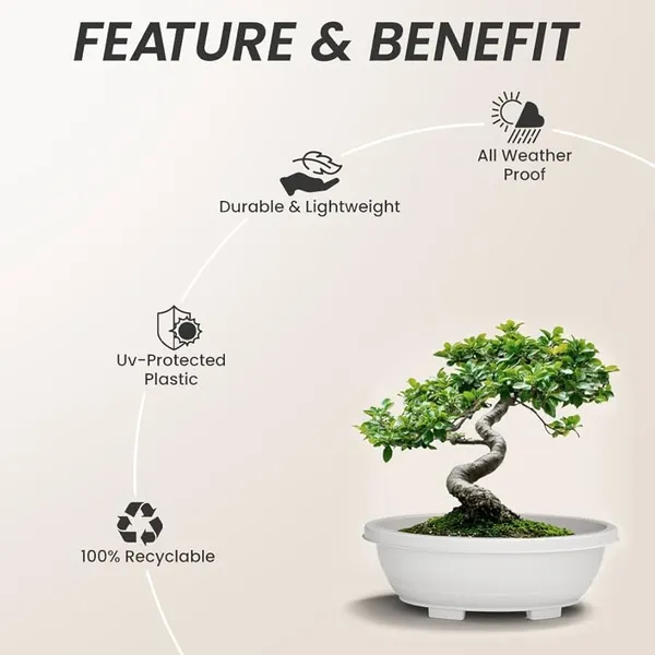 White_Uv-Protected_Plastic_Planter_For_Home_Decor,Plantation_And_Decorative_Item