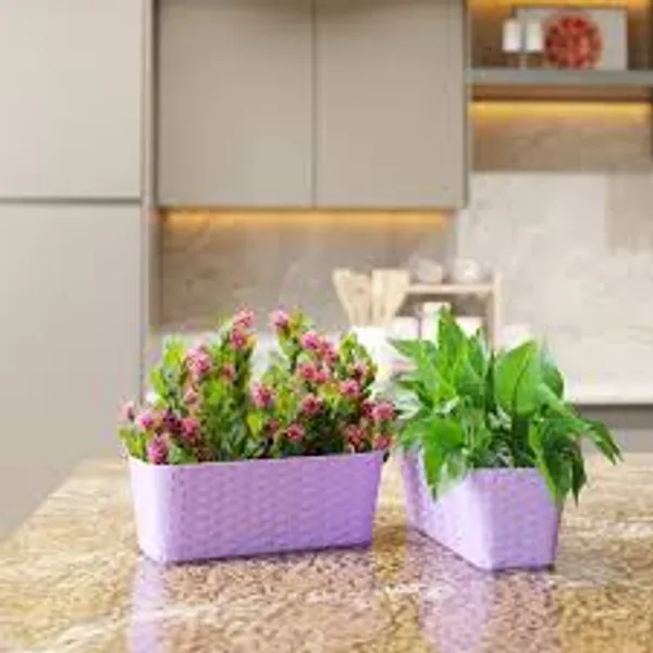 Beige_Uv-Protected_Plastic_Planter_For_Home_Decor,Plantation_And_Decorative_Item_Pack_Of_3