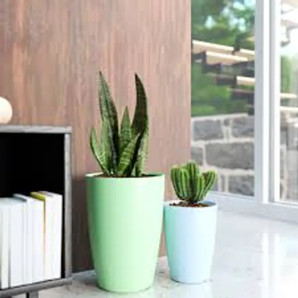 Green_Uv-Protected_Plastic_Planter_For_Home_Decor,Plantation_And_Decorative_Item_Pack_Of_2