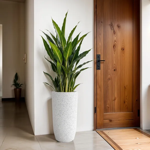 White__Polymer_Plastic_Planter_For_Home_Decor,Plantation_And_Decorative_Item