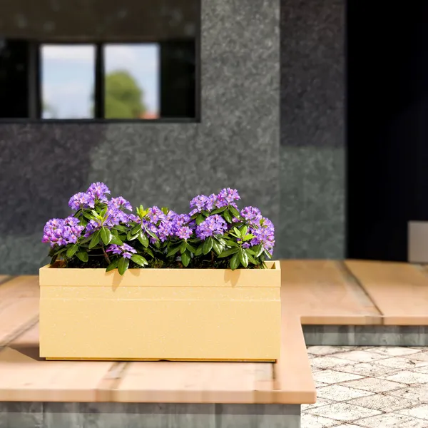Beige_Polymer_Plastic_Planter_For_Home_Decor,Plantation_And_Decorative_Item