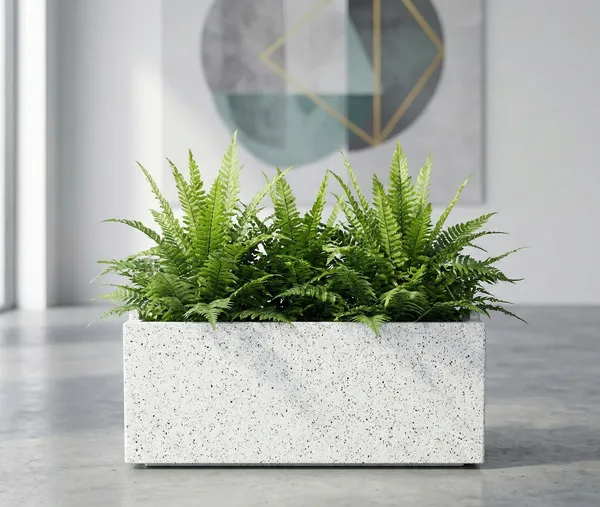 White_Polymer_Plastic_Planter_For_Home_Decor,Plantation_And_Decorative_Item