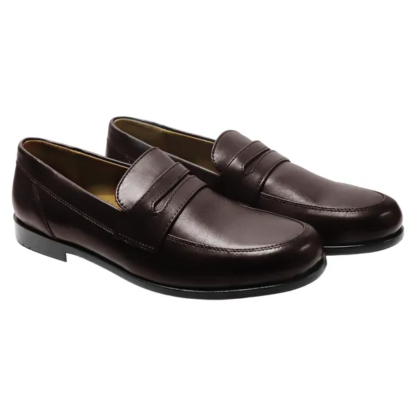 Brown,_Classic_Penny_Loafer,_for_Mens