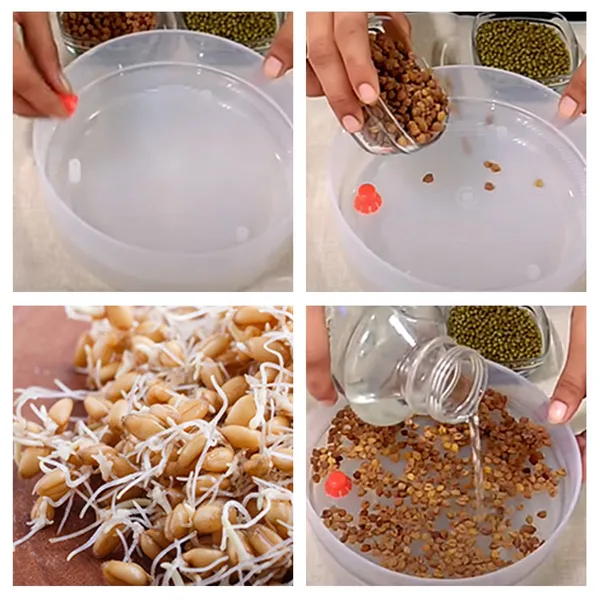 White_4Layer_Stackable_Sprout_Maker_Hygienic_Home_Sprouting_System_With_Drainage_Taps_20Cm
