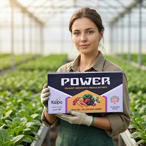 Power_Plant_Growth_Regulator_By_Kaipo_Agriculture_Use_Only_Pack_Of_10