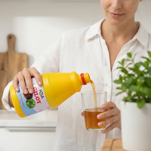 Keva_Giloy_Juice_Natural_Ayurvedic_Health_Supplement_1_Liter
