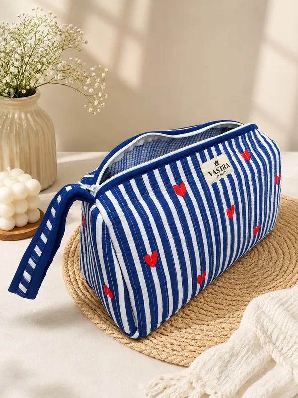 Blue_Heartline_Stripe_Dyson_Pouch