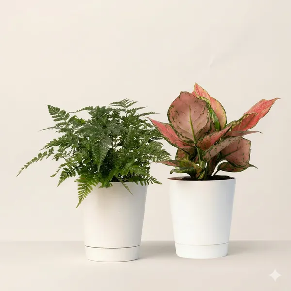 White_Natural_Foliage_Plant_And_Natural_Fern_Plant_For_Indoor_Home_Decor