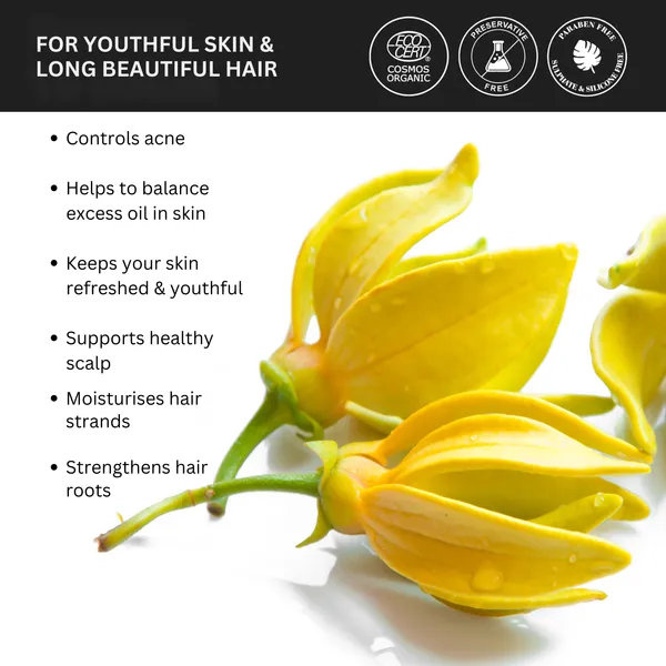 Pack_of_3_Ylang_Ylang_Pure_&_Natural_Essential_Oil
