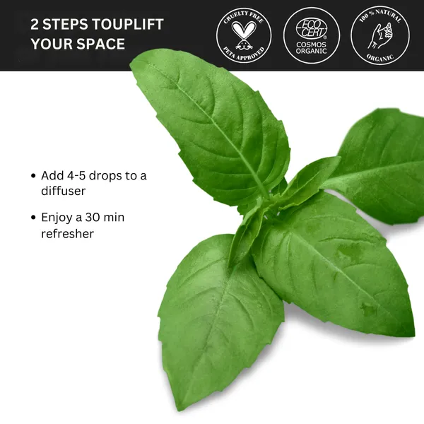 Pack_of_3_Basil_Pure_&_Natural_Essential_Oil