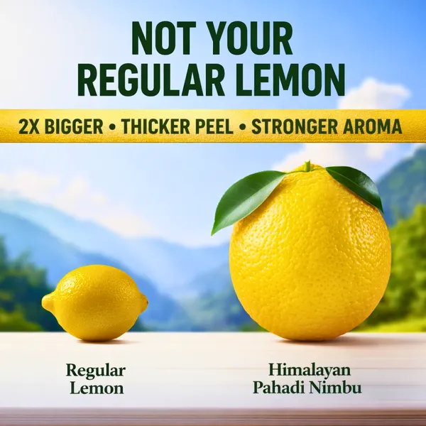 Wild_Lemon_Pickle_Premium_Glass_Jar_For_Everyone