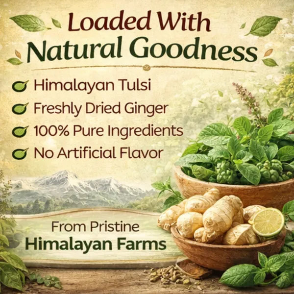 Tulsi_Ginger_Tea_Premium_Tin_For_Everyone_Pack_of_2