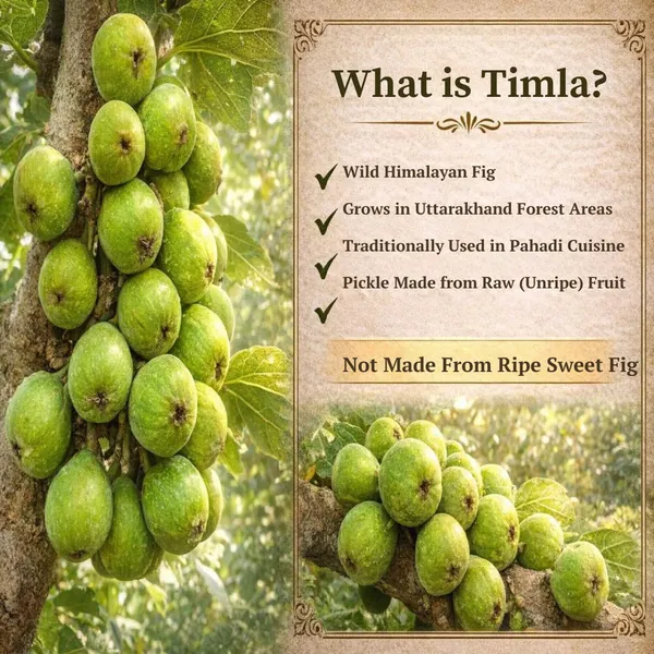 Timla_Pickle_Premium_Glass_Jar_For_Everyone