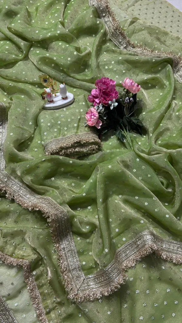 Premium_NC_Moss_Saree_with_Heavy_Designer_Embroidery_Lace_Border_&_Blouse_Piece