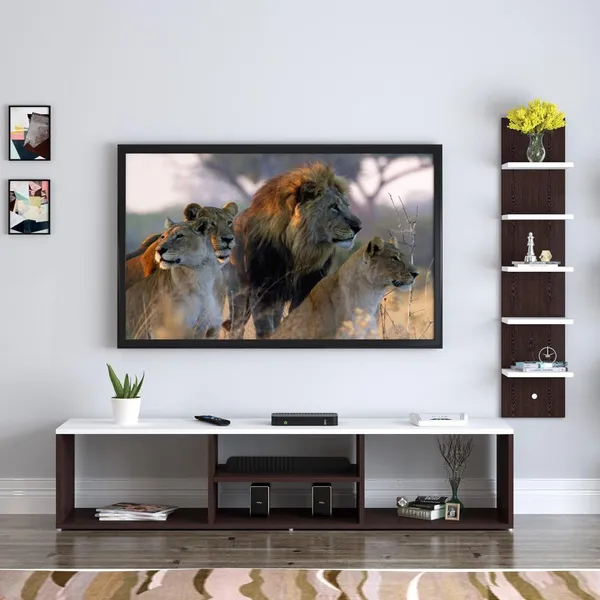 Rosebell_Wenge_And_White_Engineered_Wood_Tv_Unit_For_Home_Decor