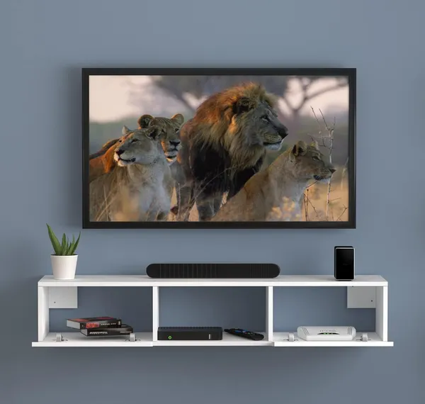 Rosebell__White_Engineered_Wood_Tv_Unit_For_Home_Decor