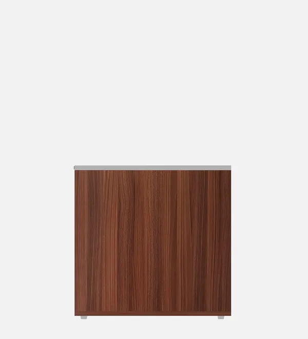 Rosebell__Brown_Engineered_Wood_Coffee_Table_For_Home_Decor