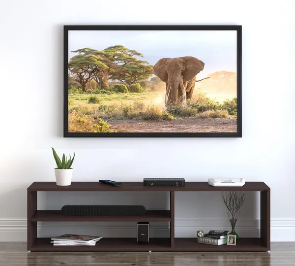 Rosebell_Wenge_Engineered_Wood_Tv_Unit_For_Home_Decor