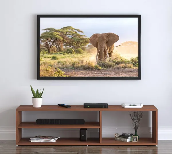 Rosebell_Walnut_Engineered_Wood_Tv_Unit_For_Home_Decor