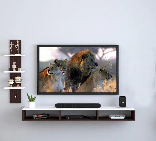 Rosebell_White_Wenge_Engineered_Wood_Tv_Unit_For_Home_Decor