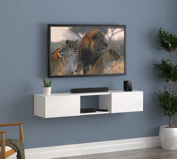 Rosebell__White_Engineered_Wood_Tv_Unit_For_Home_Decor