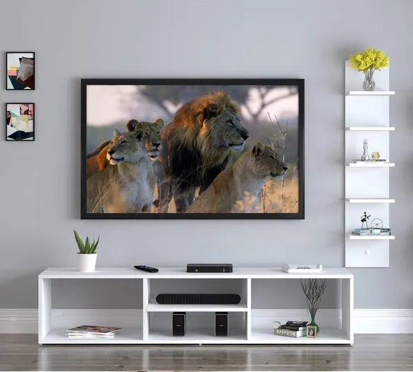 Rosebell_White_Engineered_Wood_Tv_Unit_For_Home_Decor