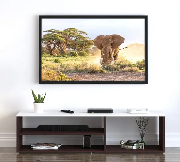 Rosebell__Wenge_And_White_Engineered_Wood_Tv_Unit_For_Home_Decor
