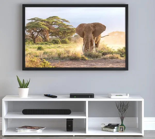 Rosebell__White_Engineered_Wood_Tv_Unit_For_Home_Decor