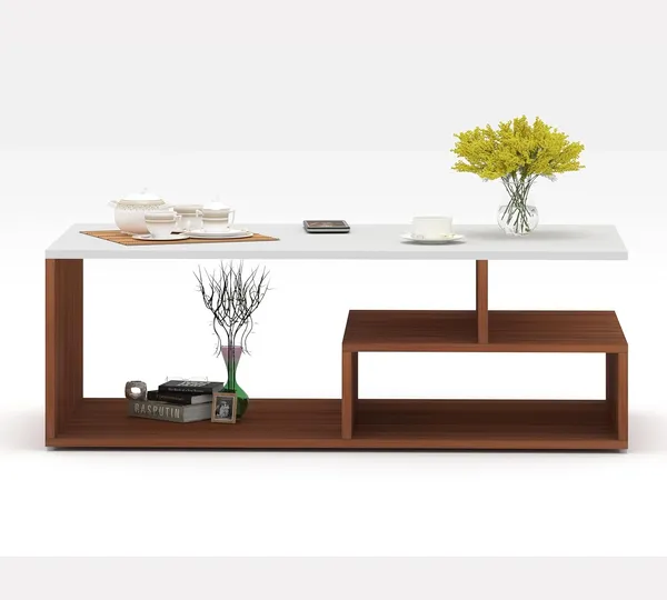 Rosebell__Wenge_Engineered_Wood_Coffee_Table_For_Home_Decor