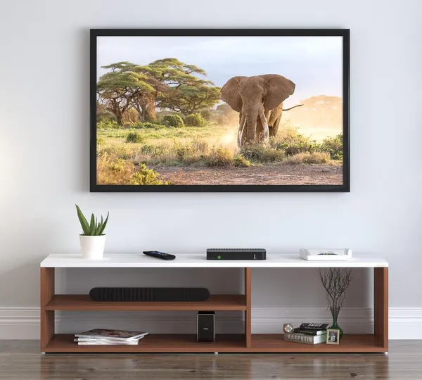 Rosebell_Walnut_White_Engineered_Wood_Tv_Unit_For_Home_Decor