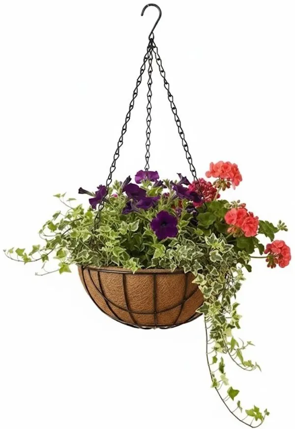 Multicolor_Npk_19_Fertilizer_Balanced_Plant_Nutrition_For_Stronger_Roots_And_Growth_For_Outdoor