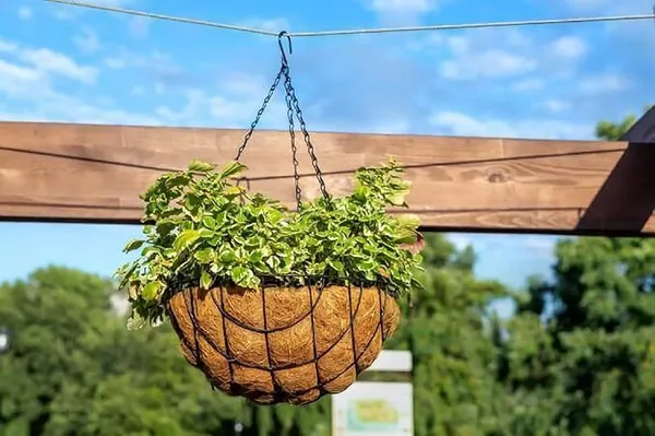Brown_Cocoliner_Basket_For_Outdoor
