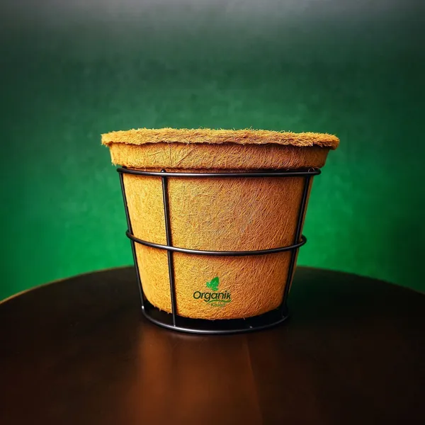 Brown_Coco_Pot_7_Inch_For_Indoor
