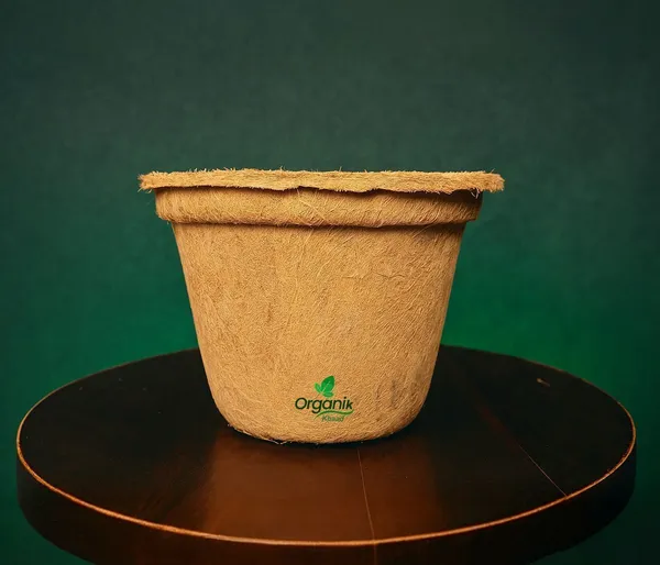 Brown_Coco_Pot_7_Inch_For_Indoor